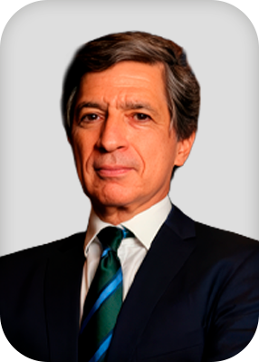 Luiz Fernando Martins Castro  